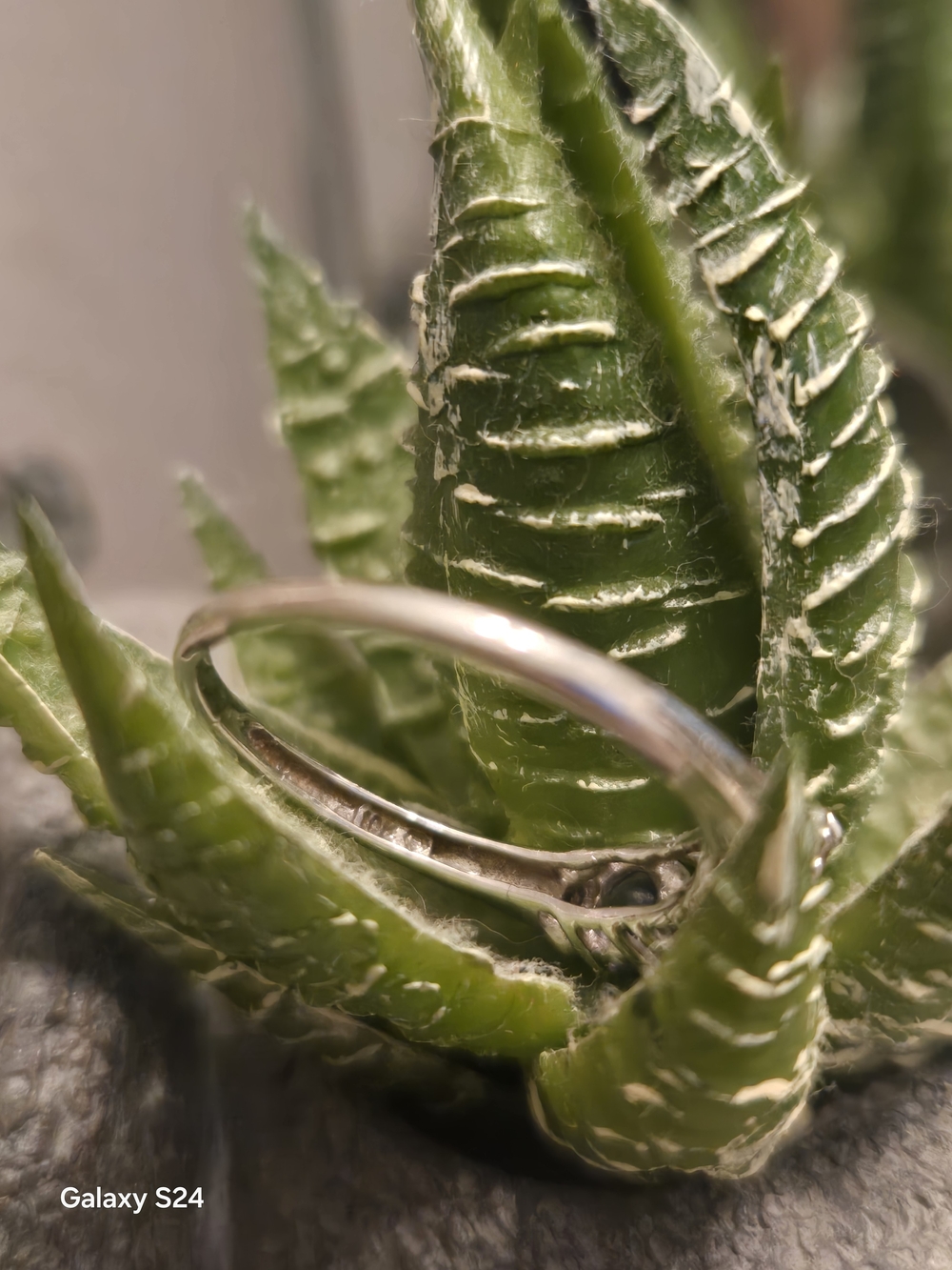 10k White Rings